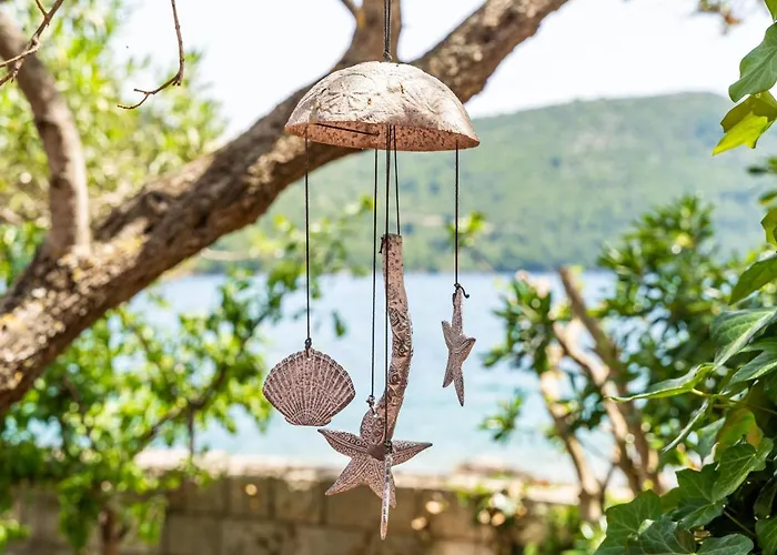 Lovely In With Wifi Ston